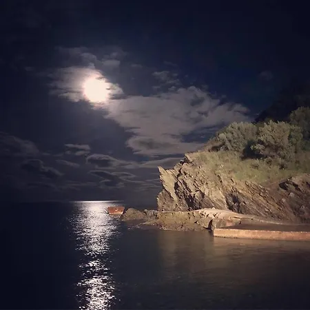 Face A La Les Elmes Banyuls-sur-Mer